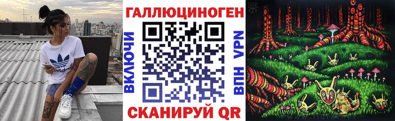 Галлюциногенные грибы Psilocybine cubensis Чкаловск