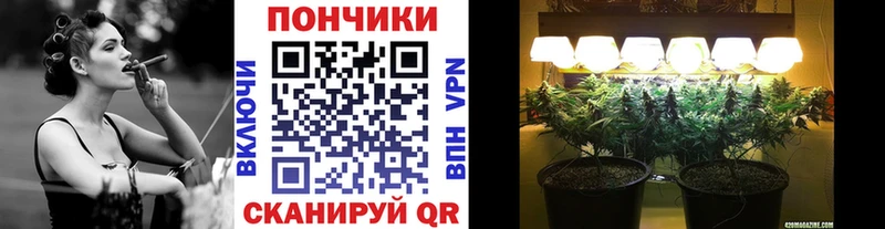 купить закладку  Чкаловск  Шишки марихуана планчик 